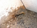 Schalung im Fertigbeton Schalung